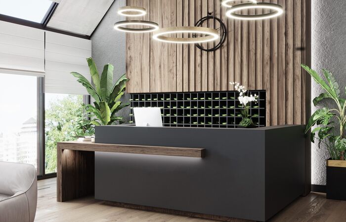 moderner, menschenleerer Empfang mit moderner Beleuchtung und großen Pflanzen an den Seiten