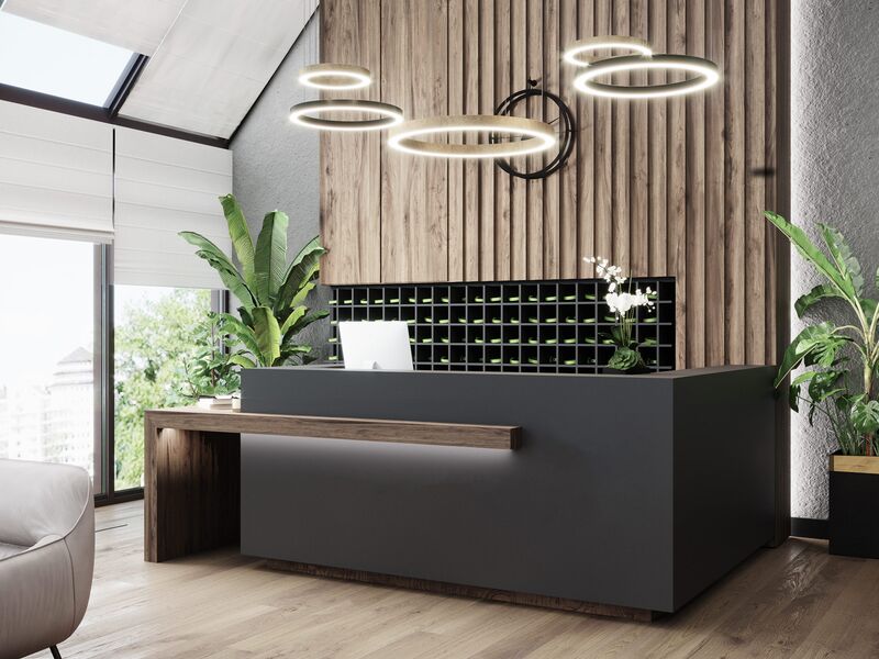 moderner, menschenleerer Empfang mit moderner Beleuchtung und großen Pflanzen an den Seiten