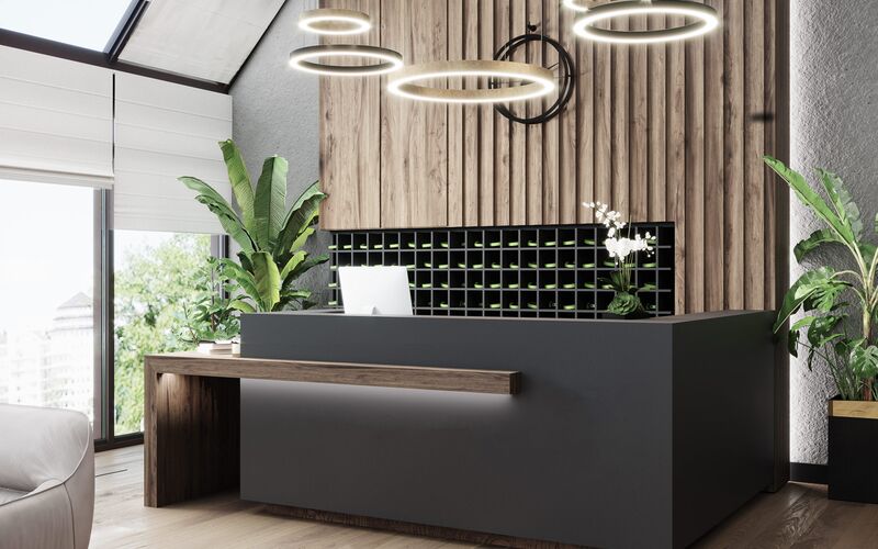 moderner, menschenleerer Empfang mit moderner Beleuchtung und großen Pflanzen an den Seiten